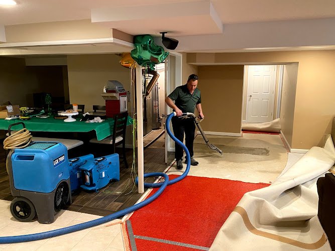 42193 night owl express carpet cleaning restoration 1