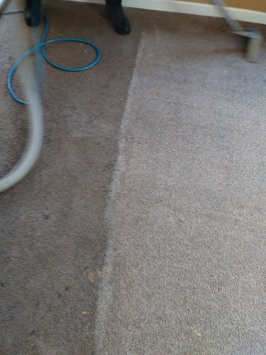 42226 usa carpet care dye 1