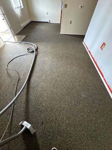 42270 speed clean services carpet cleaning department 1