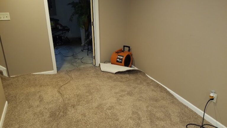 42282 fiber clene 1 768x432