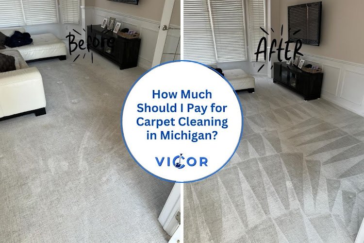 42291 vicor floor care 3