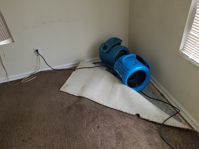 42347 extremely clean carpets services 1