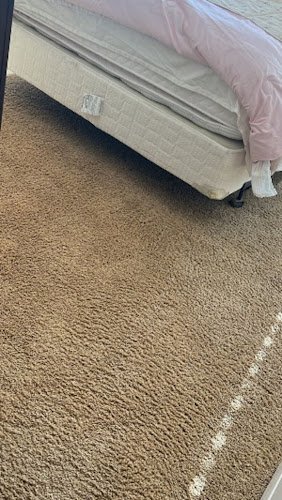 42373 hampton carpet cleaning 1