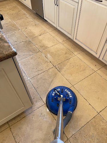 42427 gator carpet cleaning and water restoration 2