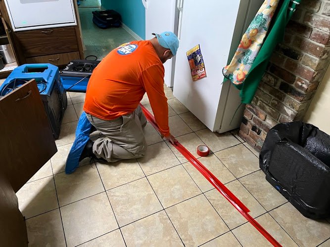 42547 puddles restoration