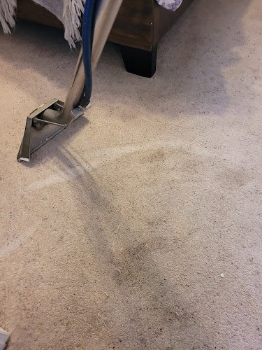 42571 carpet central 1