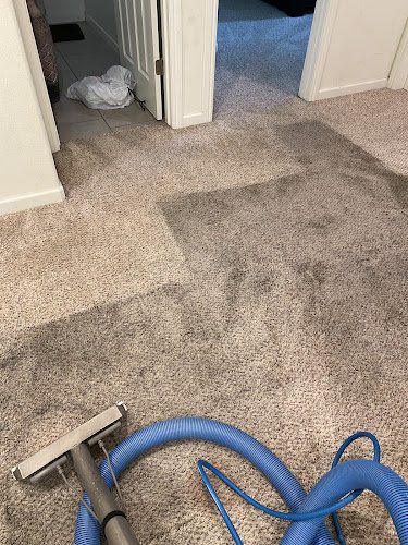42621 aea carpet cleaning 1