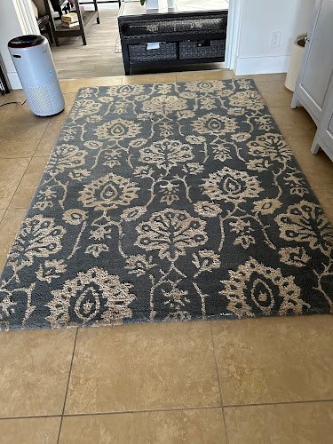 42669 dunamis pro services carpet cleaning 1