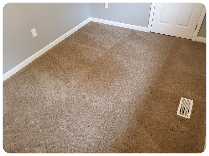42734 safe dry carpet cleaning of columbia 1