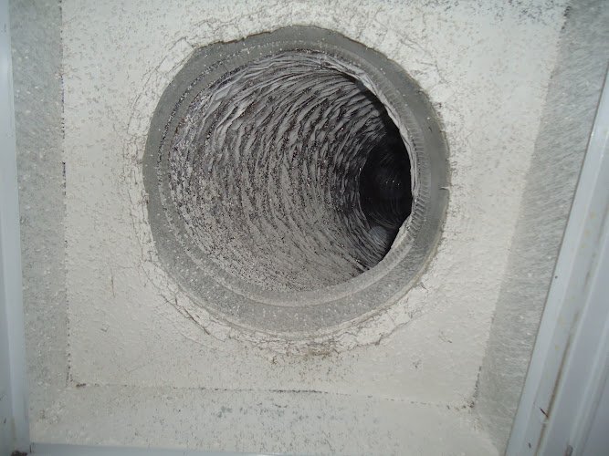 42753 true care carpet and air duct cleaning 1