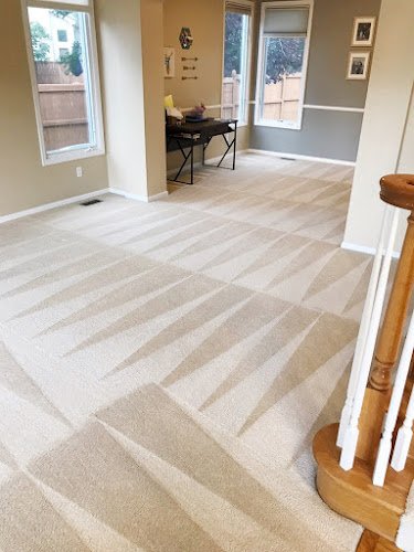 42756 palmetto carpet and tile cleaners columbia carpet cleaners 1