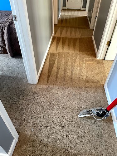 42768 carpet king of columbia 1