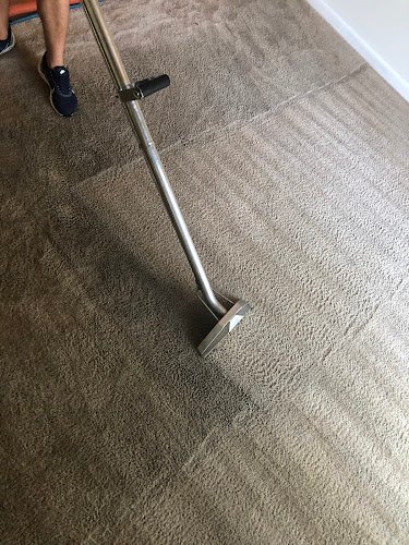 42811 stemco carpet cleaning 1