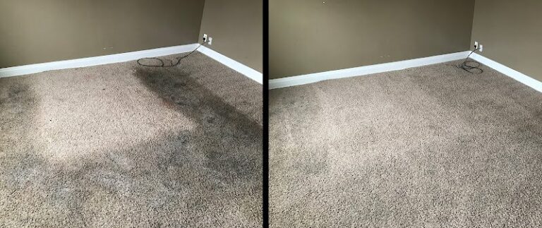 43042 professional carpet upholstery cleaning 1 768x323