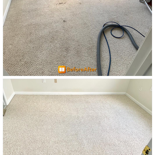 43312 carpet diem nyc 1