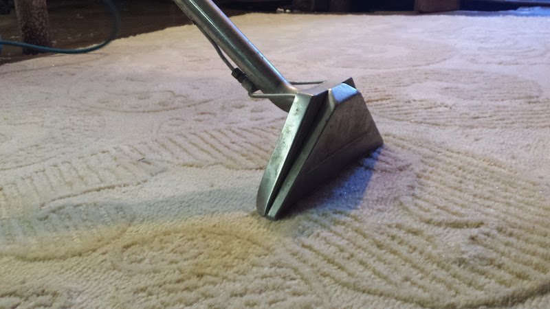 43339 area rug cleaners brooklyn 1