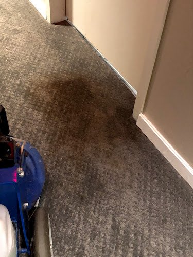 43351 j.l. carpet and upholstery 1