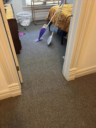 43381 chelsea carpet rug cleaning 1