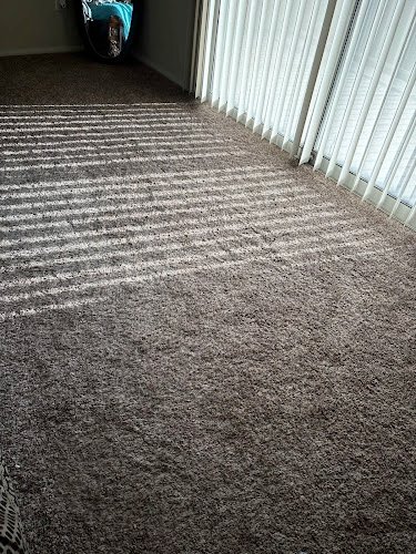 43384 leo rug cleaning carpet services 1