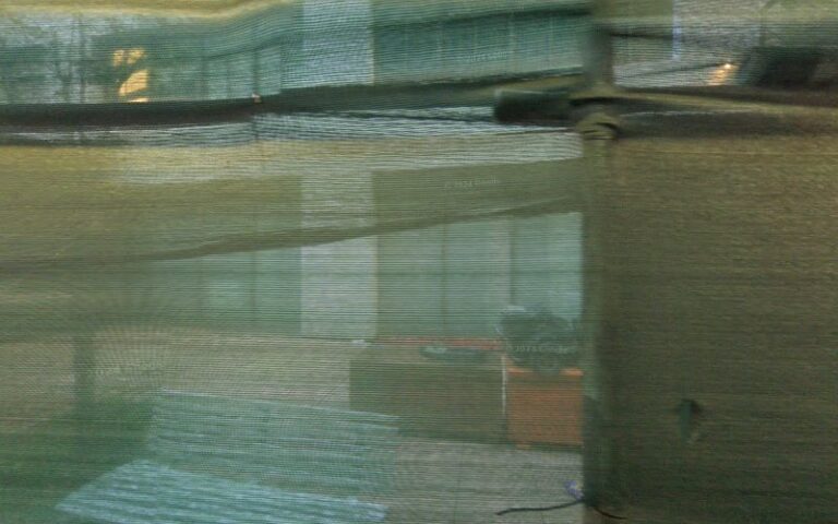 43497 mint carpet cleaning 768x480