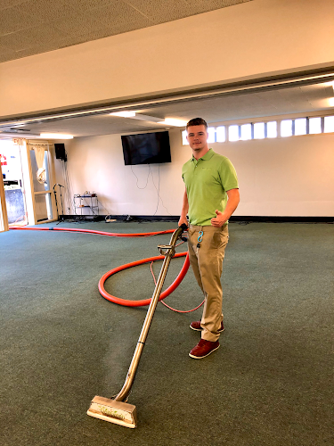 43562 do it green carpet cleaning 3