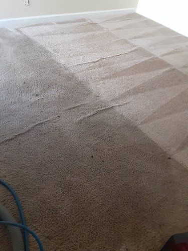 43571 cucos carpet cleaning 1