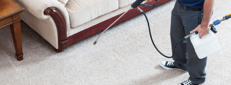 43593 superb clayton carpet cleaning 768x284