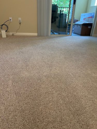 43631 the carpet solution 1