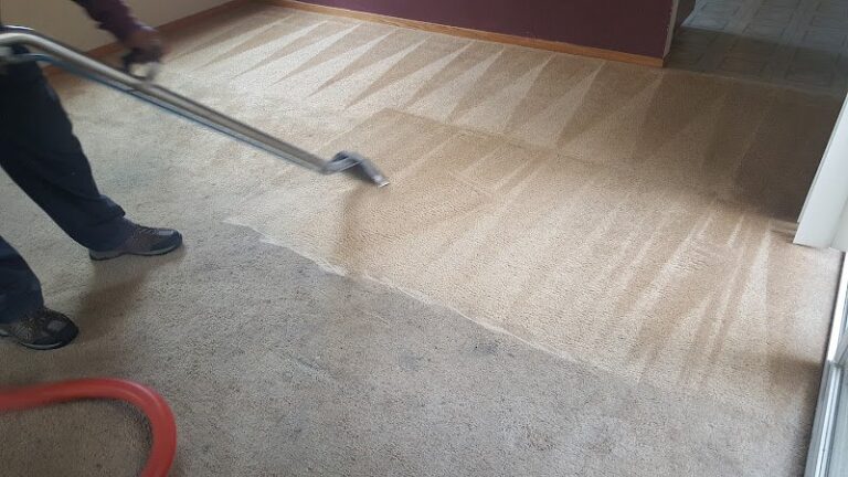 43667 elite carpet care 1 768x432