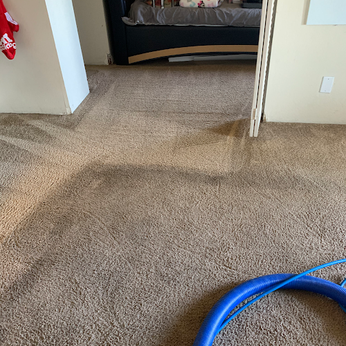 43682 ea carpet and home cleaning 1
