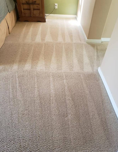 43717 san jose carpet clean 1