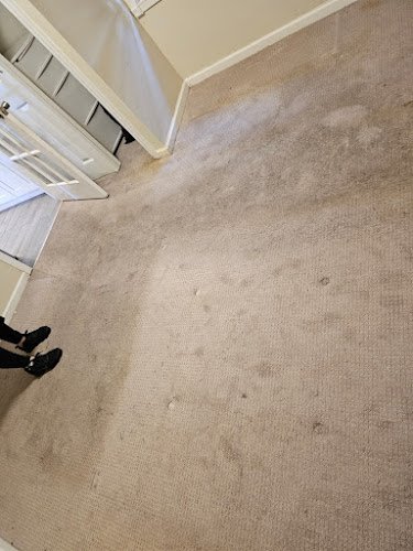 43779 city carpet cleaner 1