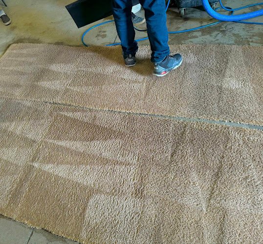 43794 altra steam scrub rug cleaning 1