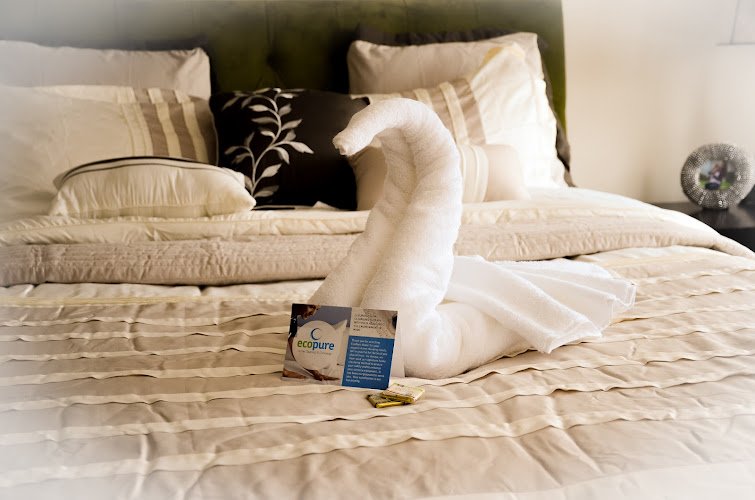 43803 vepoclean ecopure home cleaning services north bergen