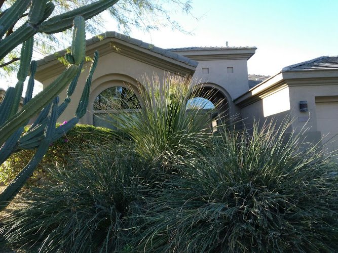 4381 professional window cleaning 5