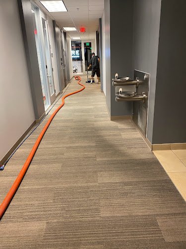 43857 royalty carpet tile cleaning 1