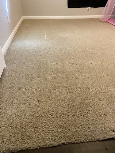 43860 brewers eco clean carpet rug upholstery tile cleaning of austin 1