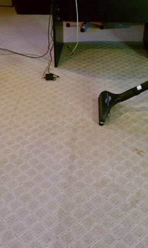 43886 chris mean green carpet cleaning 1
