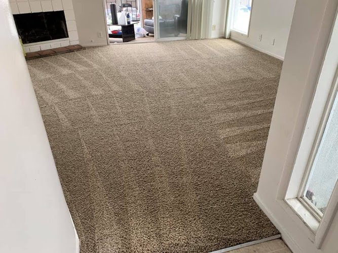 43939 gorilla carpet cleaning 1