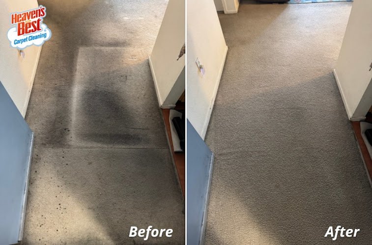 43948 heavens best carpet cleaning ventura ca 1