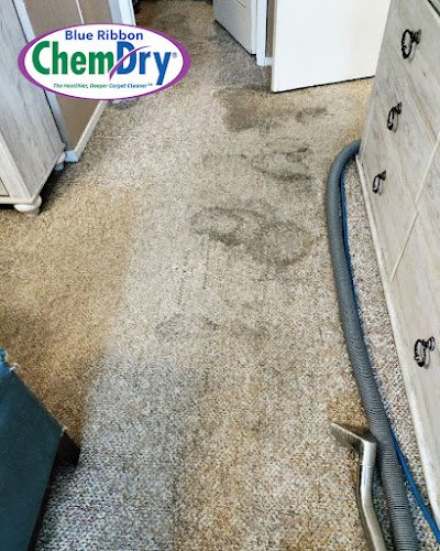 43957 blue ribbon chem dry 1