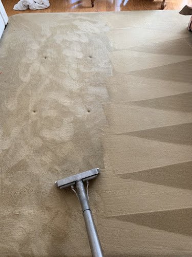 43982 peters carpet cleaning 1