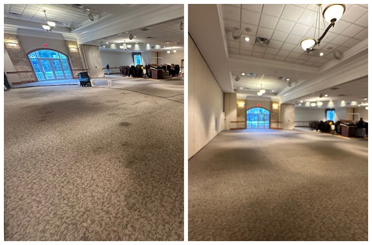 44003 pronto rug wash and repair