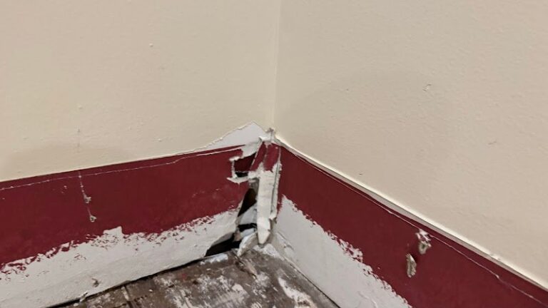 44037 servicemaster of lafayette 1 768x432