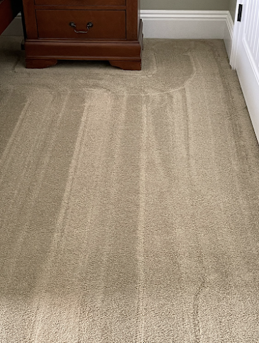 44049 star carpet cleaning 1