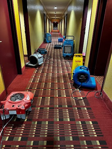 44114 newmans restoration 1