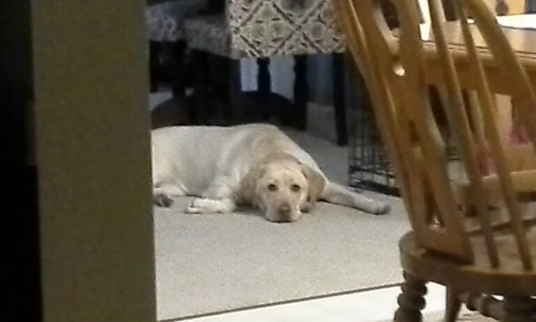 47211 custom interiors design 1 768x461