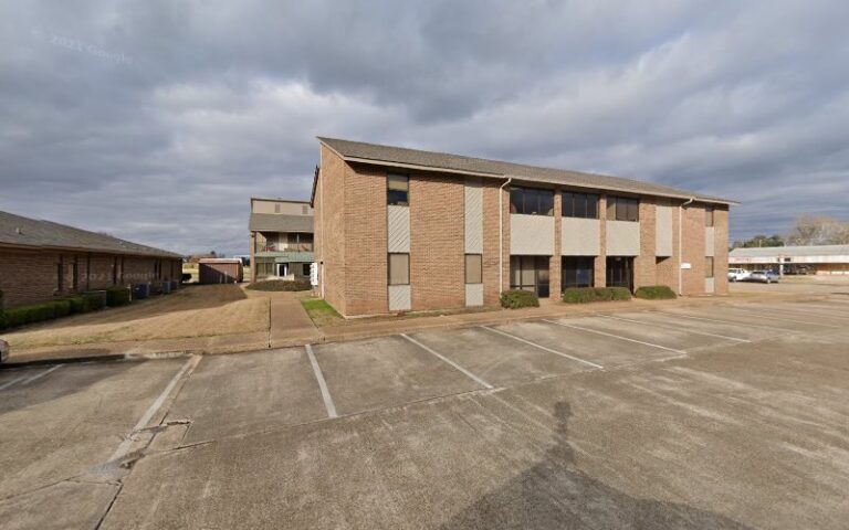 47341 palmetto design 1 768x480