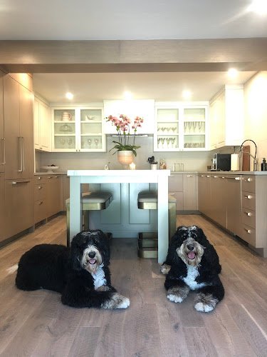 47751 cody beal interior design 1