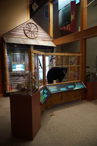 48071 wilderness graphics 1